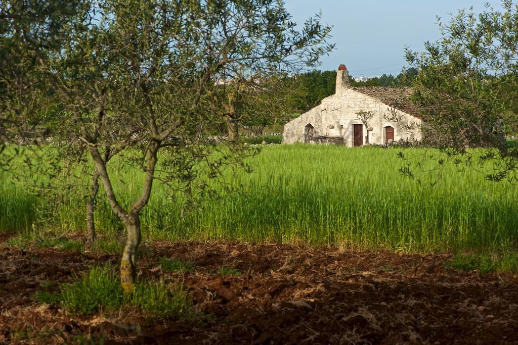 Masseria Ciavea Джоя-дель-Колле Екстер'єр фото